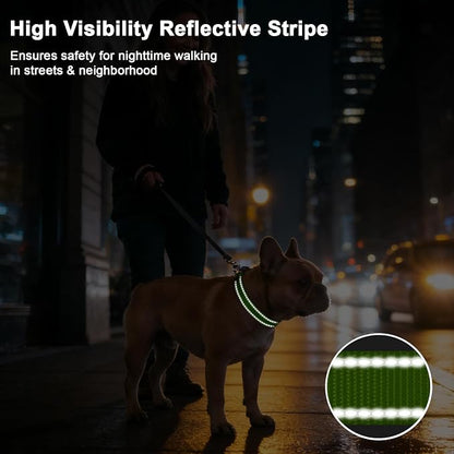 Taglory AirTag Dog Collar with Waterproof Holder for Small Dogs, Green, S | Reflective for Night Walks & Low-Light Safety, Track Your Pup Peace of Mind, Adjustable Soft Padded, No More Dangling Tags