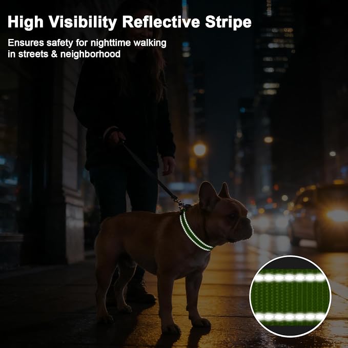 Taglory AirTag Dog Collar with Waterproof Holder for Puppy, Green, XS | Reflective for Night Walks & Low-Light Safety, Track Your Pup Peace of Mind, Adjustable Soft Padded, No More Dangling Tags