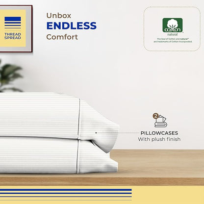 Thread Spread 100% Egyptian Cotton Pillow Cases Queen Size Set of 2 - Luxury 600 Series Bliss Collection Queen Pillow Cases (Ivory Stripe), Soft Cooling Hotel Cotton Pillowcases, Sateen Finish