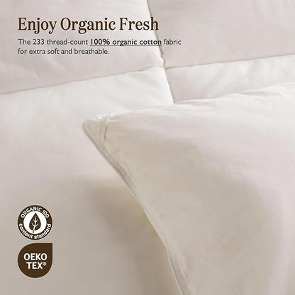 BPC Organic Feather Down Comforter Full/Queen Size, Hotel-Luxury Fluffy Duvet Insert with 100% Cotton Cover and Puffy Feather Down Filling for All-Season, Ivory White, 82x86 Inches