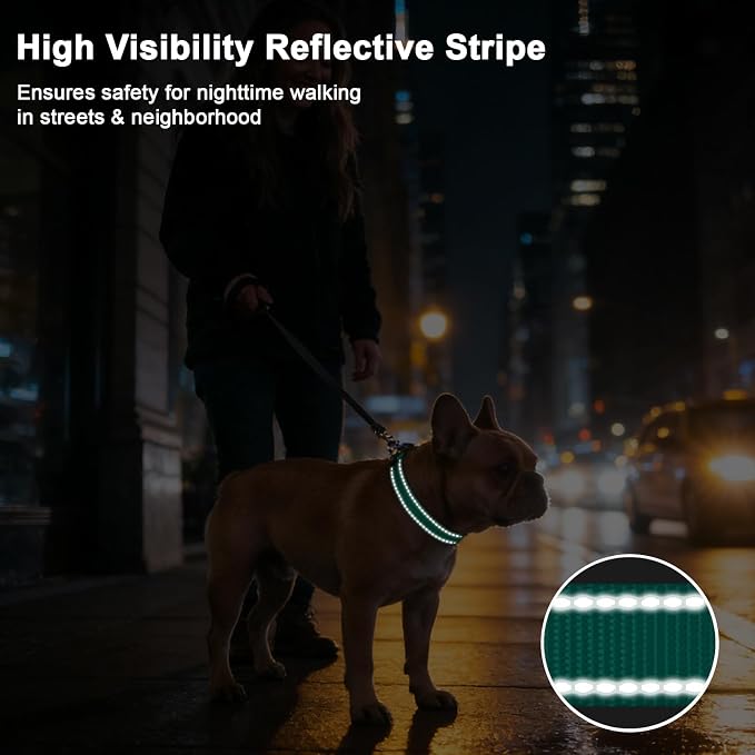 Taglory AirTag Dog Collar with Waterproof Holder for Puppy, Turquoise, XS | Reflective for Night Walks & Low-Light Safety, Track Your Pup Peace of Mind, Adjustable Soft Padded, No More Dangling Tags