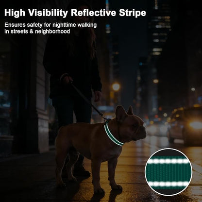 Taglory AirTag Dog Collar with Waterproof Holder for Puppy, Turquoise, XS | Reflective for Night Walks & Low-Light Safety, Track Your Pup Peace of Mind, Adjustable Soft Padded, No More Dangling Tags