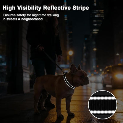 Taglory AirTag Dog Collar with Waterproof Holder for Puppy, Black, XS | Reflective for Night Walks & Low-Light Safety, Track Your Pup Peace of Mind, Adjustable Soft Padded, No More Dangling Tags