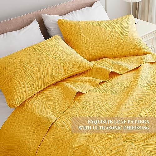 Exclusivo Mezcla Lightweight King Quilt Bedding Set, Soft Microfiber