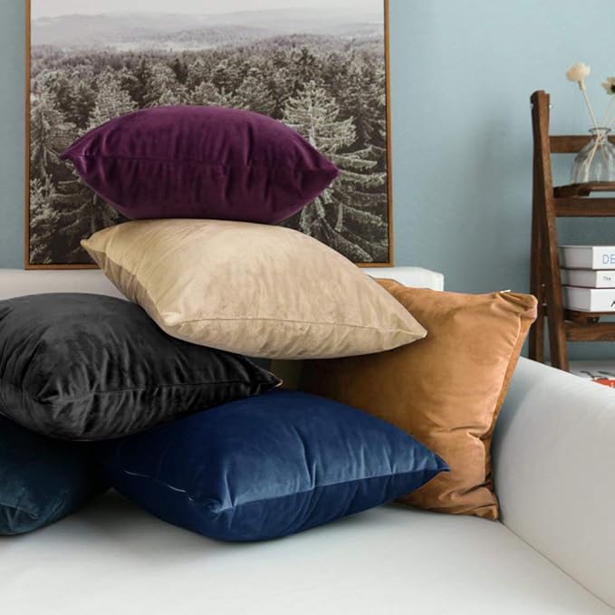 NTBAY Zippered Velvet Square Throw Pillow Cover, Super Soft and Luxury Decorative Euro Pillowcase, 26x26 Inches, Charcoal Grey