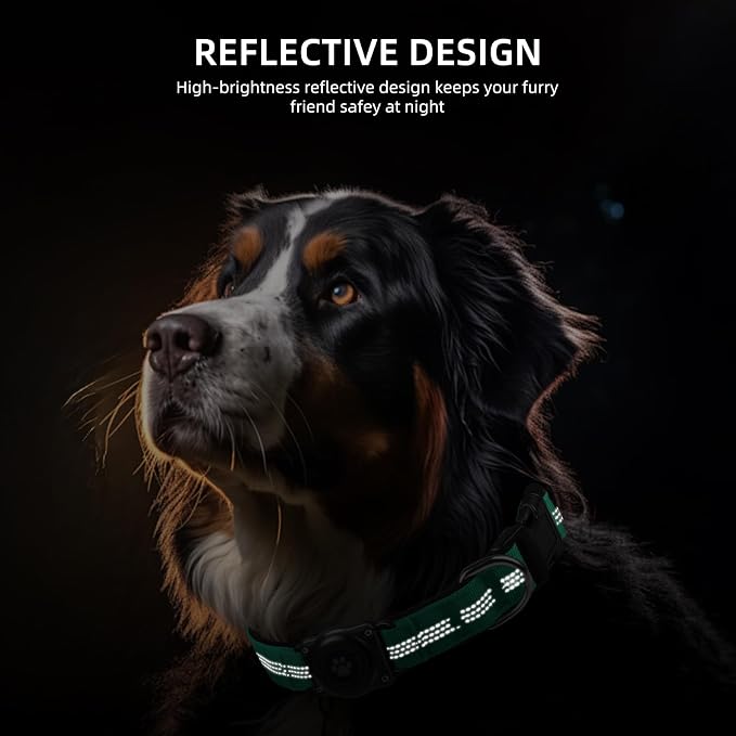 Upgrade Dog Collar with AirTag Holder, IP68 Waterproof, Teal, S | Built-in Water Resistant AirTag holder, 1000D Nylon, Reflective Stitching for Night Visibility, Soft padding for Comfort
