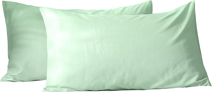 Evolive Ultra Soft Brushed Microfiber Standard Size 20"x30" Pillowcases Pair Set of 2 with Envelope Closure (20"x30" Standard, Mint)