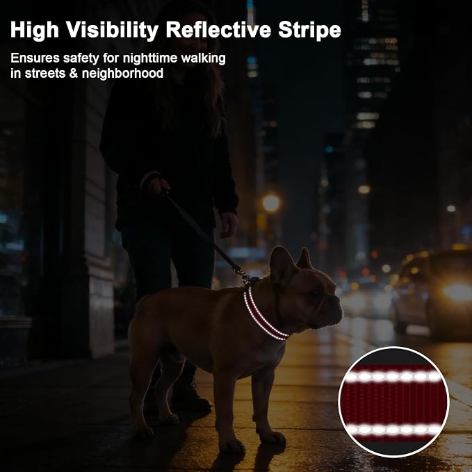 Taglory AirTag Dog Collar with Waterproof Holder for Large Dogs, Red, L | Reflective for Night Walks & Low-Light Safety, Track Your Pup Peace of Mind, Adjustable Soft Padded, No More Dangling Tags