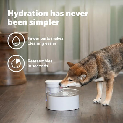 PetSafe Outlast Pumpless Cat Water Fountain, 60 oz/1.7L, Dishwasher Safe | Pumpless HydroSpin Design Circulates 60 Oz Water, Ion-x Carbon/Ion-Exchange Filter, Smart Sensors Slow Flow at Night
