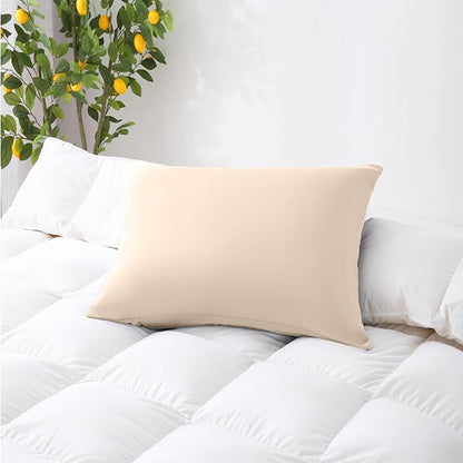 ZPECC Pillow Cases Standard Size Set of 4, 20x26 Envelope Closure Pillowcases, Soft Plain Brushed Microfiber Covers Hypoallergenic Breathable, Beige