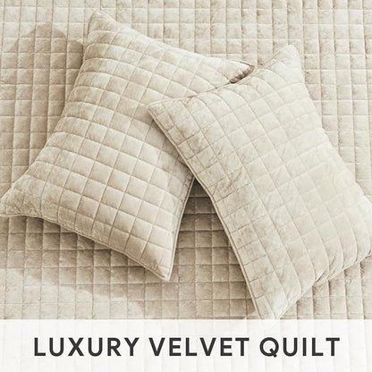 RECYCO Luxury Velvet Quilt Set King Size Bedding Sets, Ultra Soft Velvet Comforter Set, Lightweight Channel Box Stitch Oversized Bedspread Coverlet for All Season, with 2 Shams, Beige