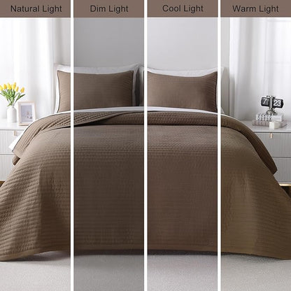 XL Queen Quilt Set – 98"x98" Soft Washed 3-Layer Lightweight Bedspread with Multi-Lock Quilting, Minimalist Nordic Bedding, All-Season Quilt for Spring, Summer & Fall (1 Quilt + 2 Pillow Shams), Cub