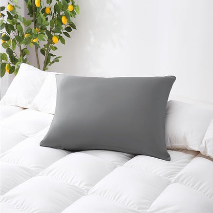 ZPECC Pillow Cases Bulk 24 Pack - Queen Pillowcases with Envelope Closure, Soft Brushed Microfiber Pillow Cover for Hotel Airb&bs Hospital Bedding Essential, Gray