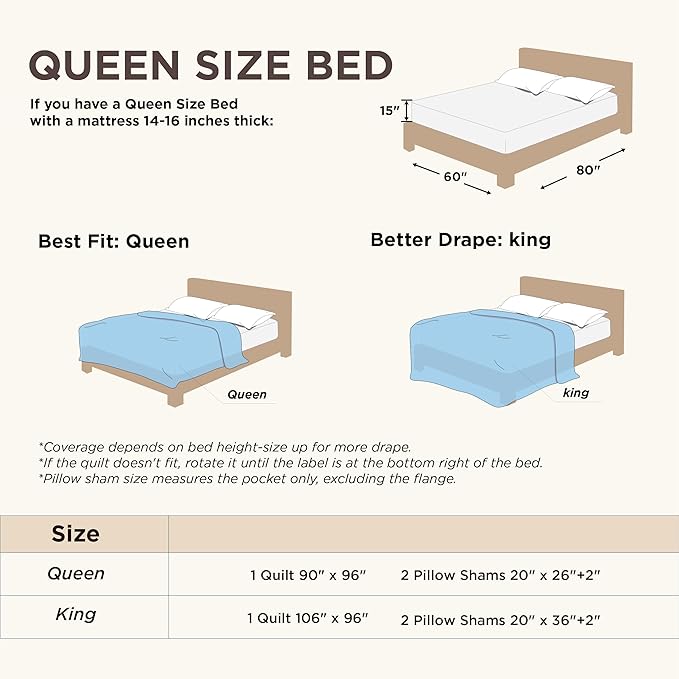 Bedsure Quilts Queen Size - Ultra Soft Pre-Washed Cloud-Like Bedding, All-Season Lightweight Comforter for Country Bedroom, Leaf Design Coverlet in Desert Sage, 90 x 96 Inches | Stitch-Free Quilting, Ultra Soft, Lightweight, Machine Washable, Pet-Friendly