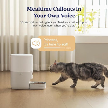 Automatic Cat Feeder, WiFi & Smart Scale, Remote Feeding | Tracks Pet's Food Intake, 3.6L Timed Food Dispenser, Up to 10 Meals Per Day, Dual Power Supply, Stainless Steel Bowl