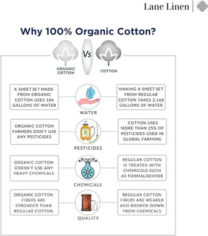 LANE LINEN 100% Organic Cotton White Twin XL Sheets Set, 3-Piece Pure Organic Cotton Percale Sheet, Extra Long Twin Sheets, Ultra Soft Bedding Sheet, Fits Mattress Upto 15" Deep - White (2Pack)