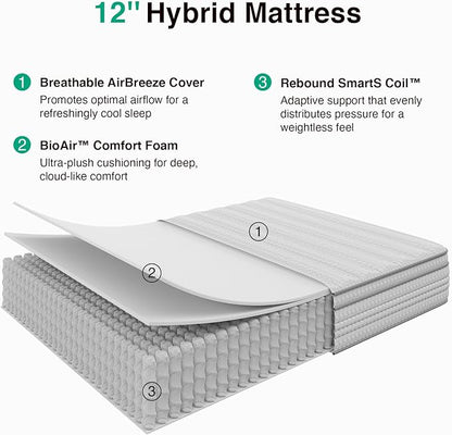 Novilla Queen Mattress, 12 Inch Queen Size Mattresses in a Box with Smarts™ Pocket Coil for Pressure Relief, Medium Plush Foam and Spring Hybrid Colchones with CertiPUR-US Certified