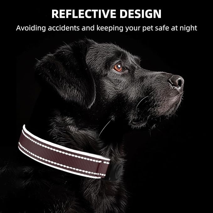 Upgrade Dog Collar with AirTag Holder, IP68 Waterproof, Pastel Pink, M | Built-in Water Resistant AirTag holder, 1000D Nylon, Reflective Stitching for Night Visibility, Soft padding for Comfort
