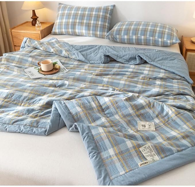 Lightweight Summer/Spring Bedspreads Quilt Bedding Set Queen Size 150*200/200*230cm ﻿ Soft And Comfortable Breathable Bedding Coverlet For All Season, Drop Nicely Quilt ( Color : 1# , Size : 150*200cm