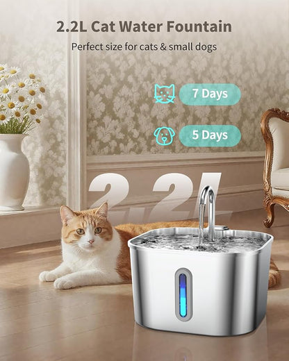 Stainless Steel Cat Water Fountain - 74oz/2.2L Cat Drinking Fountain | Quiet Cat Fountain for Indoor Cats and Small Dogs, Automatic Pet Water Dispenser Keeps Fresh Water, Water Level Window