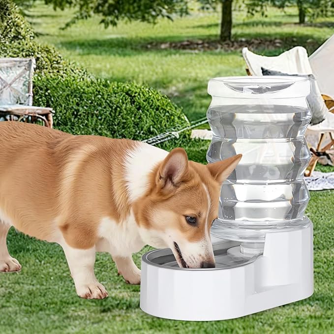 RIZZARI 6.5L Stainless Steel Dog Water Dispenser:Anti Spill for Medium Dogs | Stainless Steel Bowl / No Electricity / Gravity Auto Refill / Stable Base / Easy Cleaning / Home Use