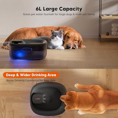 WOPET Dog Water Fountain for Large Dogs, 6L/205oz/1.6Gal Automatic Dog and Cat Water Fountain, Pet Water Dispenser with 2 Filters, Ultra-Quiet Pump, Great for Large Dogs Cats and Multi-Pet Home