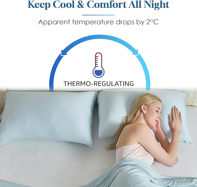CHOSHOME Cooling Pillow Cases Zipper Pillow Covers Q-Max > 0.45 Zippered Pillowcases for Hot Sleepers, Soft, Breathable, Skin-Friendly, 2 Pack (Queen, 20"x30", Ice Blue)