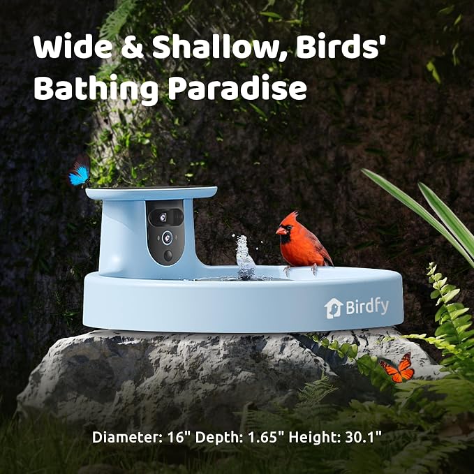 Birdfy Smart Bird Bath with Camera, Solar Powered, Dual-Lens 2K AI Camera | Watch Birds Bathe & Drink in Stunning 2K with Dual-Lens Auto Tracking, Solar Power, Fountain and Lifetime AI Bird Recognition