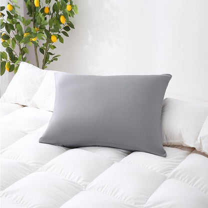 ZPECC Dark Gray Pillow Cases Queen Size Set of 4, 20x30 Envelope Closure Pillowcases, Soft Plain Brushed Microfiber Covers Hypoallergenic Breathable