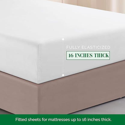 Elegant Comfort Luxurious 1500 Premium Hotel Quality Microfiber Three Line Embroidered Softest 4-Piece Bed Sheet Set, Wrinkle and Fade Resistant, Twin/Twin XL, White