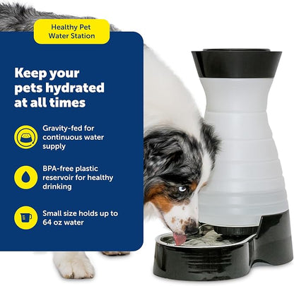 PetSafe Healthy Pet Water Station, 64 oz, Stainless Steel Bowl, Small | Gravity-Fed Pet Water Fountain Keeps Cats or Small Dogs Hydrated, Stainless Steel Bowl Is Dishwasher Safe