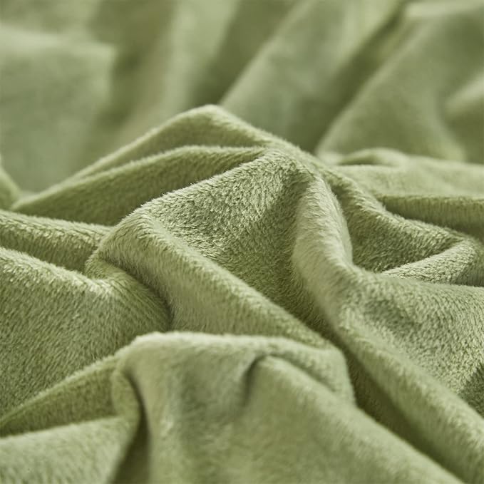 CLOTHKNOW Green Velvet Queen Comforter Set Sage Green Bedding Comforter Sets Soft Comforter Queen with 2 x Pillow Cases