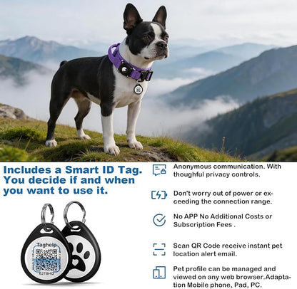 Tactical AirTag Dog Collar with Waterproof Holder(1st/2nd Generation) | Military-Grade Adjustable Collar, Comfortable Control Handle & Metal Buckle for Medium Dogs，Smart QR ID tag (Purple, M)