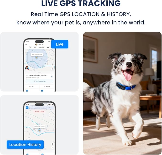 AI GPS Dog Tracker, Virtual Fence & AI Health Monitor, Waterproof