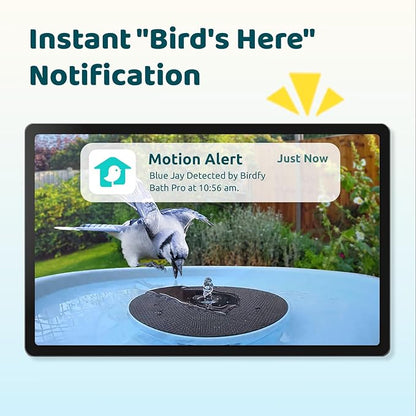 Smart Bird Bath with Camera Solar Powered & Fountain & Stand, Dual-Lens Camera for Wildbird Watching, Auto Capture Bird Videos & Motion Detection - AI by Subscription