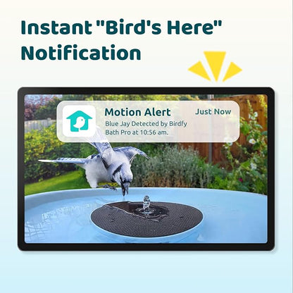 Birdfy Smart Bird Bath with Camera, Solar Powered, Dual-Lens 2K AI Camera | Watch Birds Bathe & Drink in Stunning 2K with Dual-Lens Auto Tracking, Solar Power, Fountain and Lifetime AI Bird Recognition