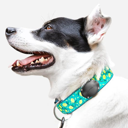 Elevation Lab AirTag Dog Collar Holder - Waterproof (2 Pack) | Secure, Durable, Fits Any Collar Width, Doesn't Dangle, Comfortable