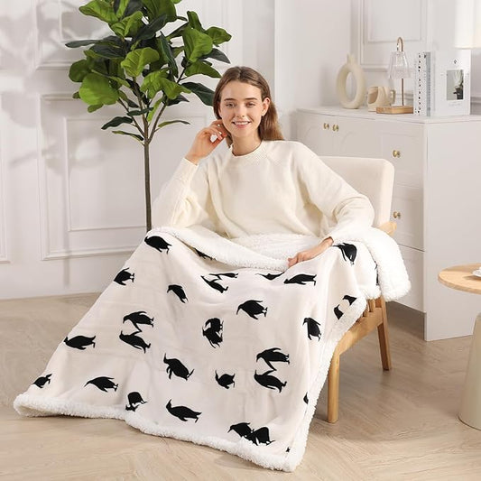 Heated Blanket Twin Electric Blanket 62"x84" Heating Blanket, Upgraded Ultra Comfortable Sherpa Twin Size Heated Blanket with 5 Heating Levels & 10 Hrs Auto-Off, Machine Washable, Ideal Gift