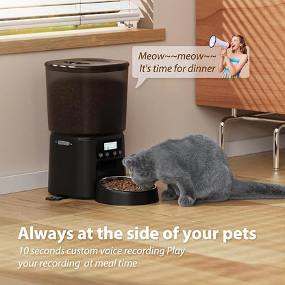 Petrice Automatic Cat Feeder, 4L/16Cups Cat Food Dispenser with Stainless Steel Bowl Programmable 30 Portions 6 Meals per Day, Timed Pet Feeder for Kitty Small Dogs with 10S Voice Record, Black