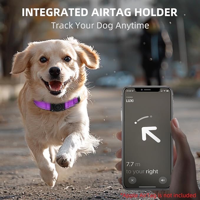 Upgrade Dog Collar with AirTag Holder, IP68 Waterproof, Grape Purple, XL | Built-in Water Resistant AirTag holder, 1000D Nylon, Reflective Stitching for Night Visibility, Soft padding for Comfort