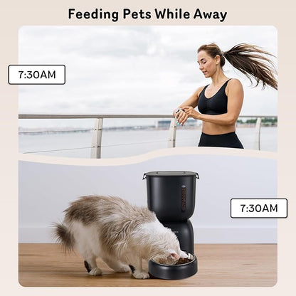 Automatic Cat Feeder and Water Dispenser FW1, Wire or Battery Cat Food Dispenser Timer Pet Feeder - Locking Lid, Desiccant Bag, Programmable Portion Control, 4 Daily Meals, 10s Voice Recorder