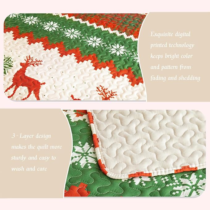 Whale Flotilla Christmas Quilts Queen Size, Soft Boho Floral Bedspreads for Bed Reversible Lightweight Full Queen Quilt Bedding Set Coverlets with 2 Pillow Shams for All Seasons, Happy Snowflake