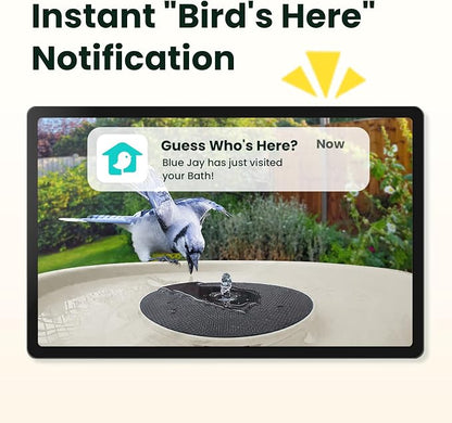 Smart Bird Bath with Camera, Solar Powered & Fountain, 2K AI Camera | Watch Birds Bathe & Drink in Stunning 2K with Dual-Lens Auto Tracking, Solar Power, Fountain and Lifetime AI Bird Recognition