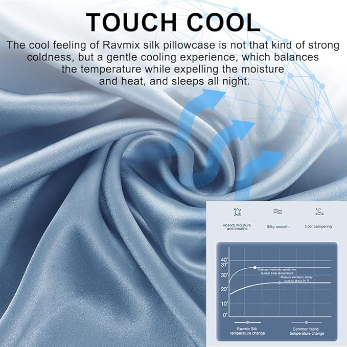 Ravmix Silk Pillow Cases with Zipper, 21momme Mulberry Silk Pillowcase for Hair Skin Health, Soft Smooth Breathable Cool Pillow Cover for Beauty Sleep with Gift Box 1PC(Queen 20"x30", Flint Blue)
