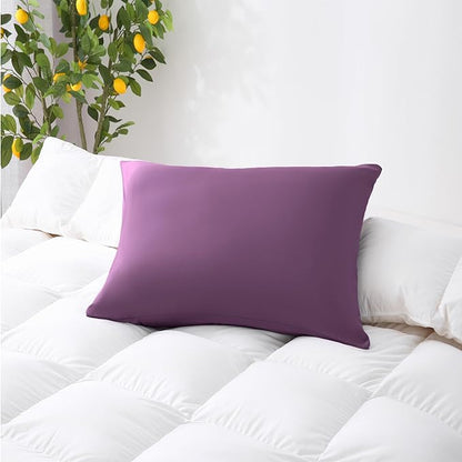 ZPECC Pillow Cases Queen Size Set of 4, 20x30 Envelope Closure Pillowcases, Soft Plain Brushed Microfiber Covers Hypoallergenic Breathable, Dark Purple