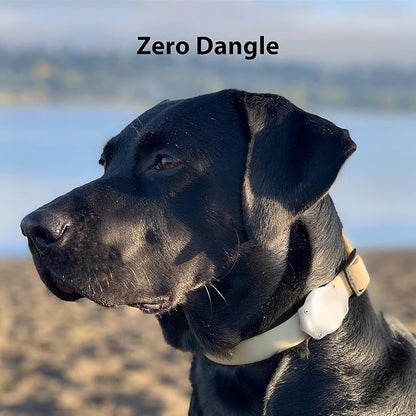 AirTag Dog Collar Holder - Waterproof - Elevation Lab (2 Pack) | Secure, Durable, Fits Any Collar Width, Doesn't Dangle, Comfortable, Glow in The Dark
