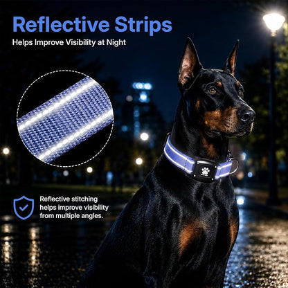 GPS Dog Collar Tracker 2-in-1,Reflective Waterproof Pet Collar,iOS-Only,No Monthly Fees,Unlimited Range,Dog Tracking Collar Pet Tracker,for Small Medium Large Dogs(M (14.5"-19.5"), Blue)