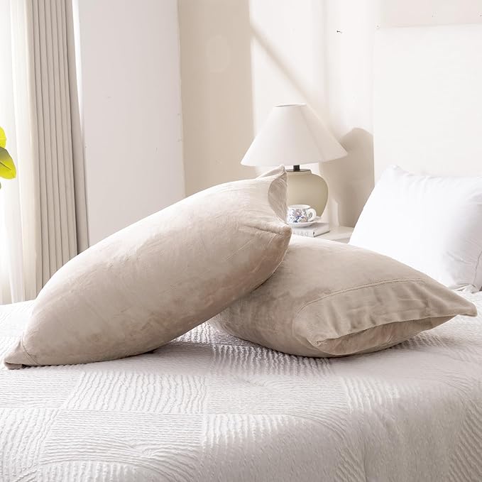 Velvet Queen Pillowcases Standard Size of 2 Pack, Ultra Soft Breathable Pillow Cases with Flap Closure for Bed, Luxury Fuzzy Warm Flannel Velvet Pillow Covers, No Insert (Queen 20x30, Taupe)