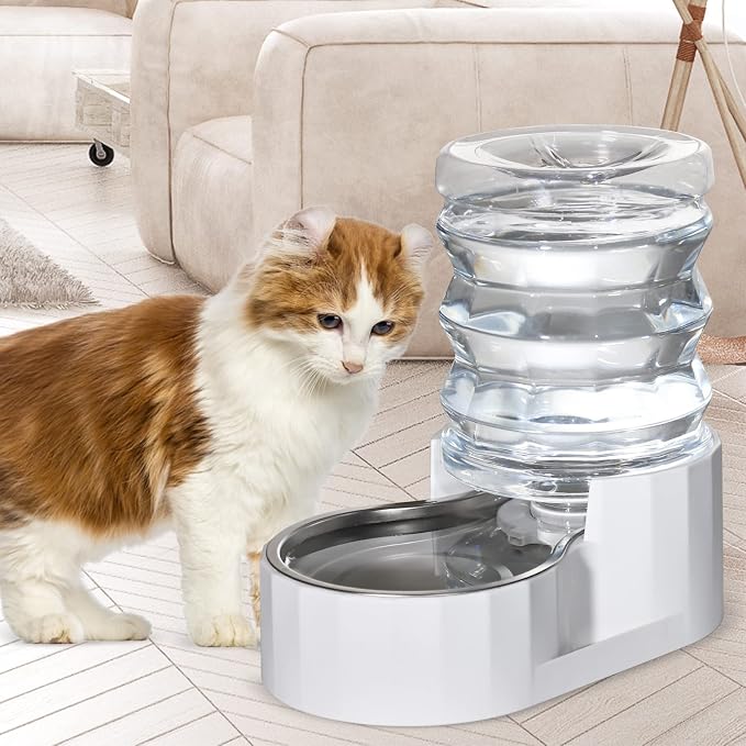 RIZZARI 5L Gravity Cat Water Dispenser: Filtered for Small Pets | Reduced Refills / Stainless Steel Bowl / Anti Splash Base /BPA-Free Materials/ Easy Cleaning / Kitchen Living Room Use