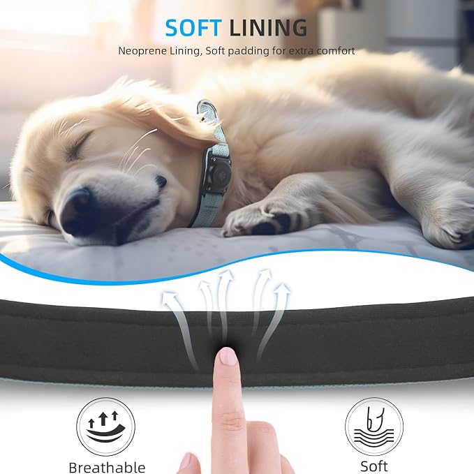 Upgrade Dog Collar with AirTag Holder, IP68 Waterproof, Light Blue, XS | Built-in Water Resistant AirTag holder, 1000D Nylon, Reflective Stitching for Night Visibility, Soft padding for Comfort